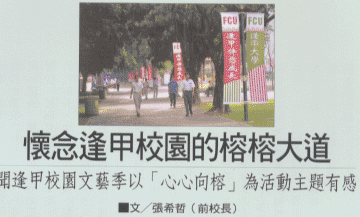 峹